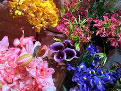 -BEAST野兽派(上海浦东嘉里城店)