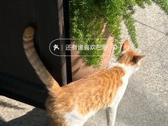 -小巨场咖啡