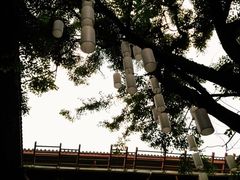 -醉云喃