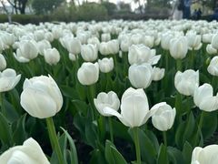 -玄武湖景区-情侣园游乐场