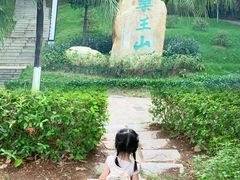 -广东中医药博物馆