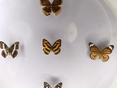 -下渚湖国家湿地公园科普馆