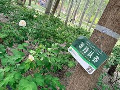 -仁和公园(顺义区)