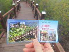 -大岭沟猕猴桃谷风景区