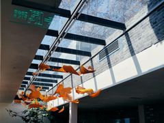 -自如ZSPACE四合院艺术餐厅