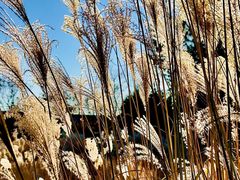 -北京雁栖湖国际会展中心