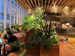 -Seesaw Coffee(朝阳大悦城店)