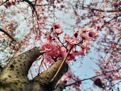 -重庆彩云湖湿地公园