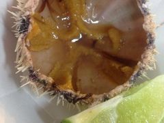 iphone_upload_pic-垦丁辉哥生鱼片