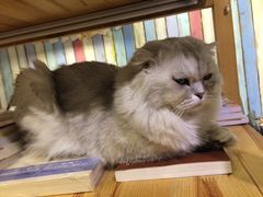 -小时光咖啡馆(开森度假森林店)