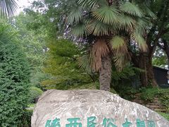 -大雁塔北广场音乐喷泉