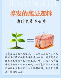 -Bollins波林丝•专研护发中心