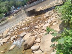 -姑婆山旅游区