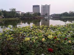 -西海子公园