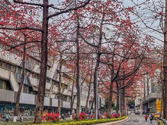 -烈士陵园(地铁站)