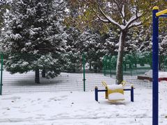 -望湖公园
