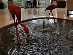 -月星家居广场-路面停车场