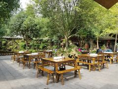 -青城甲(青城山店)