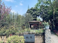 -爱乐蒙艺术·古筝 钢琴 声乐(科华校区)