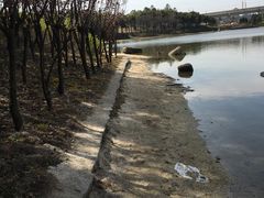 -美兰湖景区