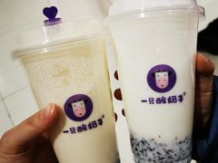 -一只酸奶牛(曲江龙湖星悦荟店)