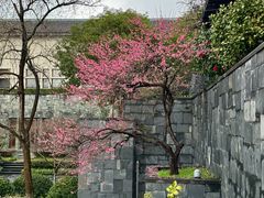 -宁波柏悦酒店·钱湖渔港