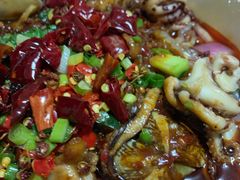 -降龙爪爪(建设路1店)