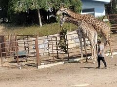 -大连森林动物园