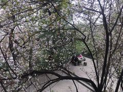 -城隍阁