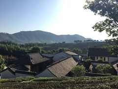 -帐篷客·溪龙茶谷度假酒店