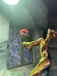 -Zoolung Zoolung动物主题公园(海信广场店)