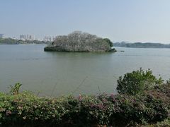 -海珠湖公园