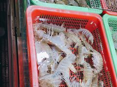 -都斛海鲜街
