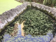 -成都市活水公园