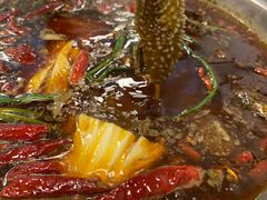 -黄潇洒老火锅(九眼桥宏济巷店)