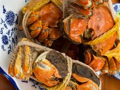 -喜洋洋蟹庄(阳澄湖店)