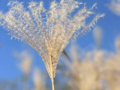 -穿越·外婆家(西溪天堂店)