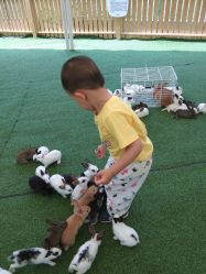 -萌宠亲子动物乐园(槐房万达店)