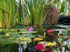 -国家植物园南园