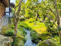 -天龙寺