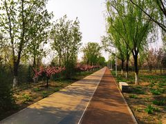 -绿堤公园