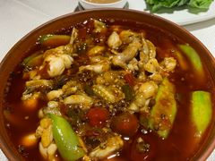 麻辣馋嘴蛙-渝信川菜(华盛店)