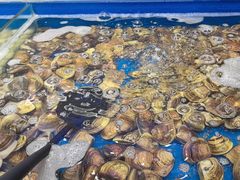 -川骄海鲜自助(河东店)