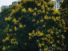 -苏州河梦清园环保主题公园