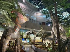 -湖南省地质博物馆