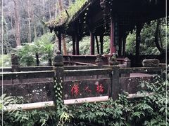 -青城山