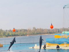 -秦皇岛乐岛海洋王国