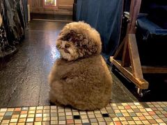 -7分甜(江宁万达店)