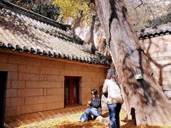 -青岛崂山太清宫