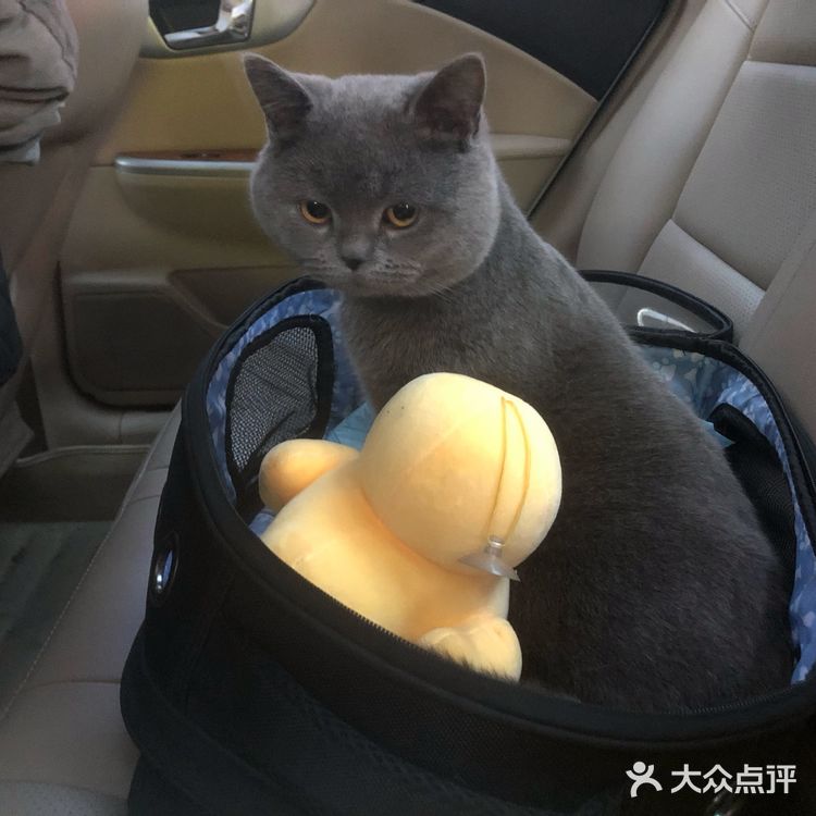 高大上，环境好，价格实惠